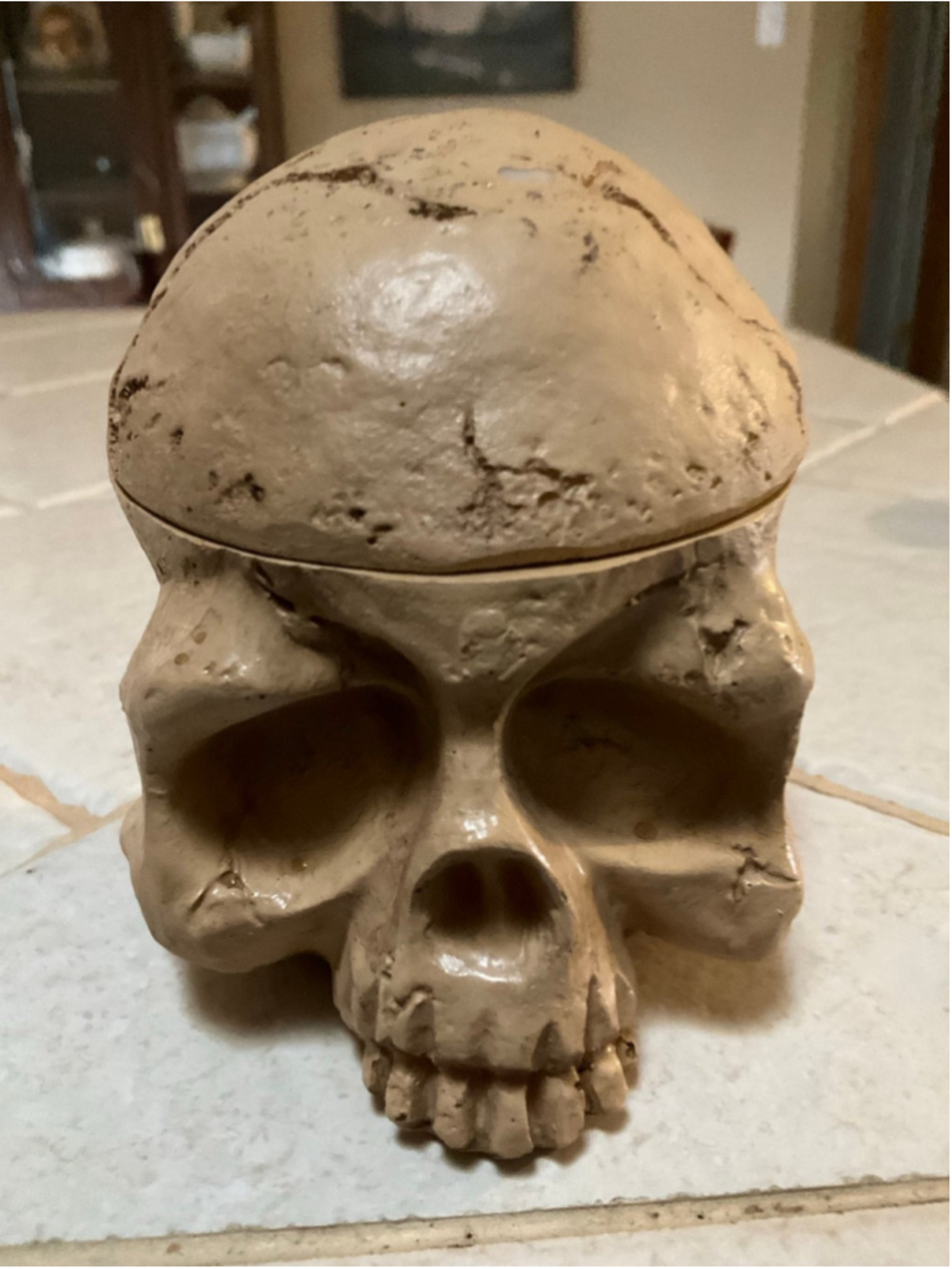 Skull Tattoo Ink Cup Holder Hard Skull Resin Tattoo Ink Caps Holder